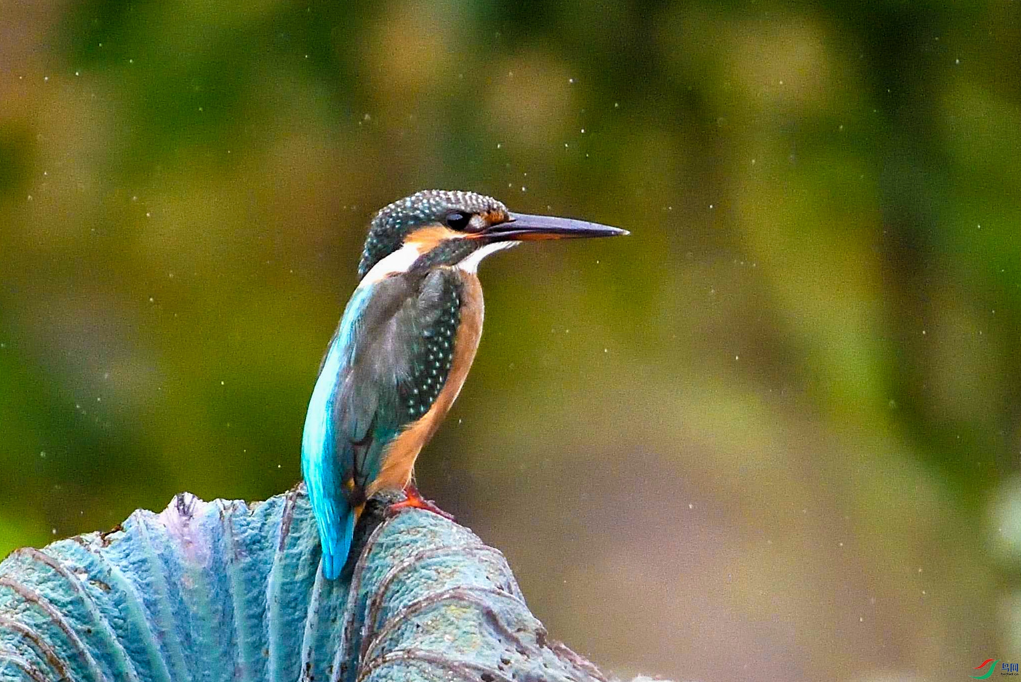 DSC_9943.jpg