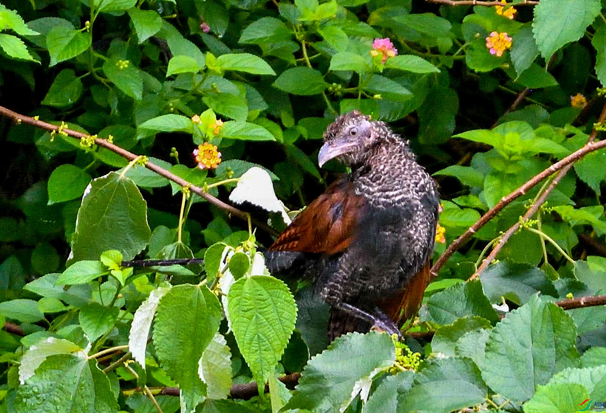 DSC_9474.jpg