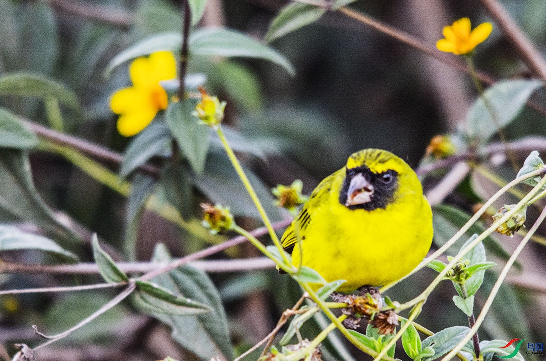 DSC_8340.jpg