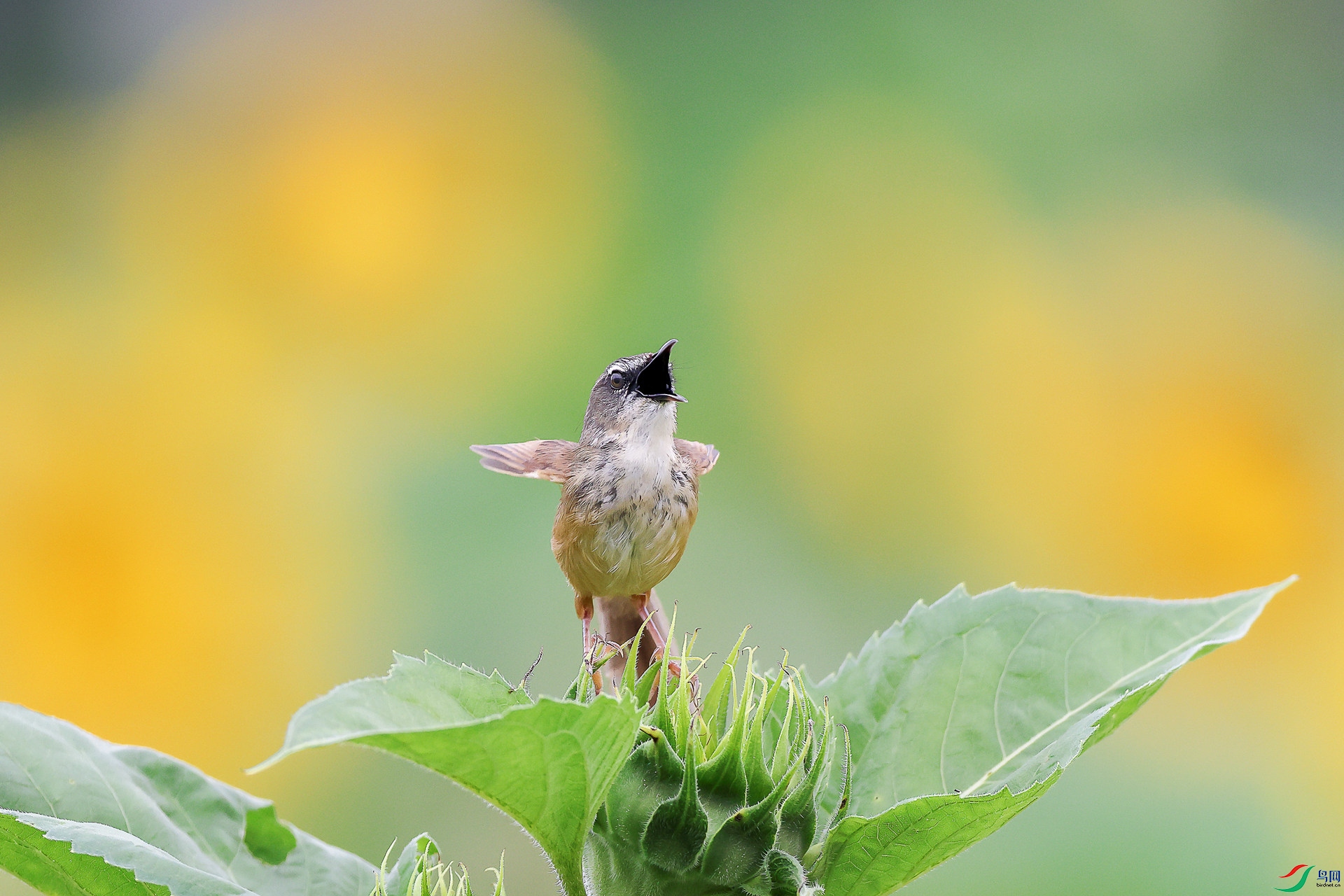 1M6A1553 ����_����.jpg