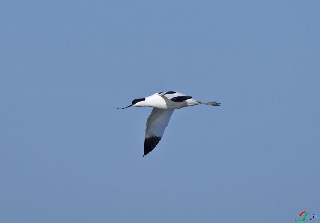 DSC_9508.jpg