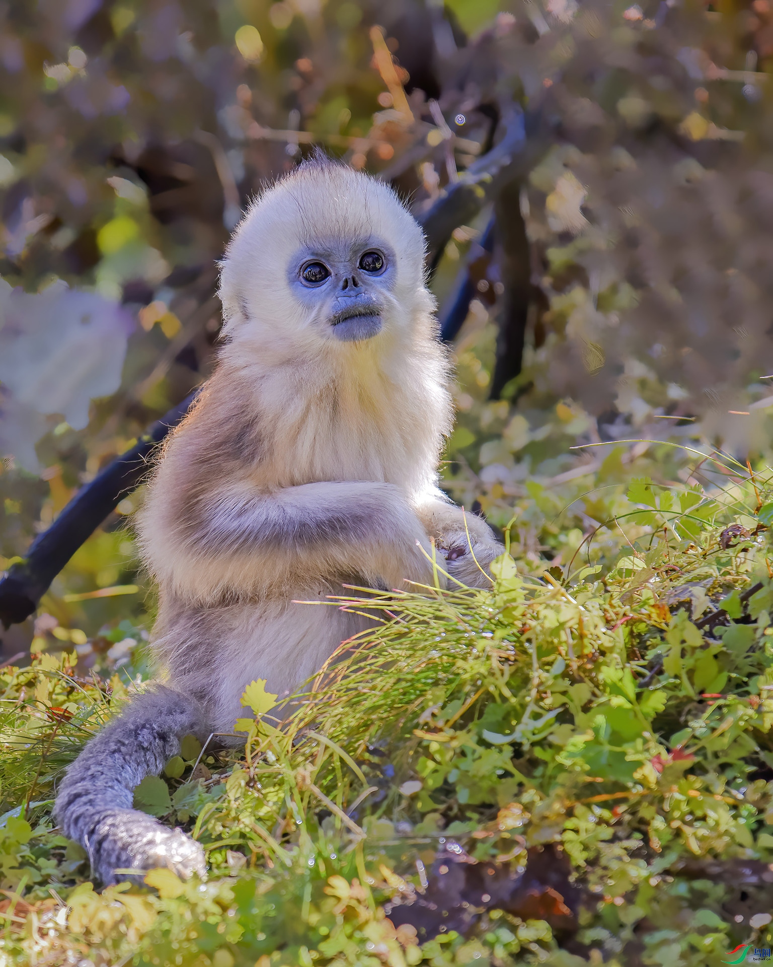 _DSC5967 ����.jpg