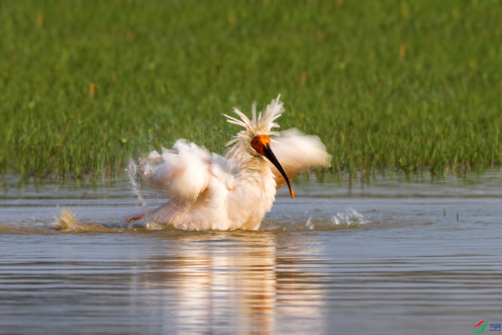 hnxyR221109 (2939).jpg