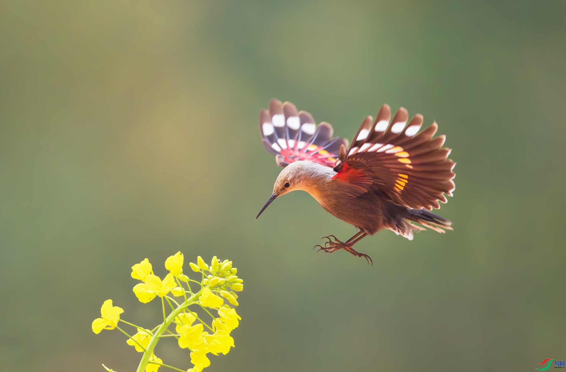 9.7���ʿ���ʦ��Ʒ   ����ȸ   �ٻ�2023��9��7��ÿ�ռ�����.jpg