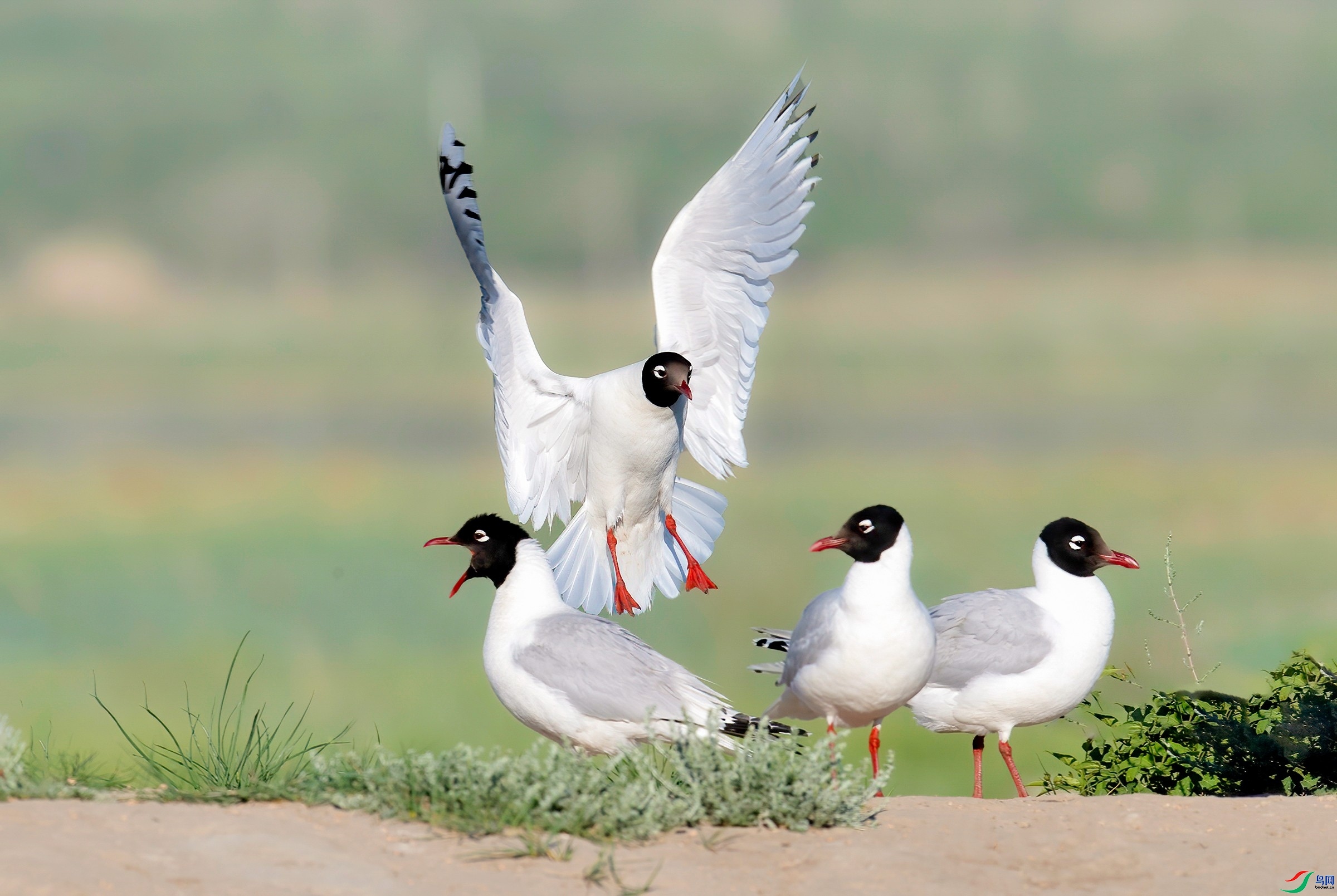 9.12����������ʦ��Ʒ   ʱ��׼����   �ٻ�2023��9��12��ÿ�ռ�����.jpg