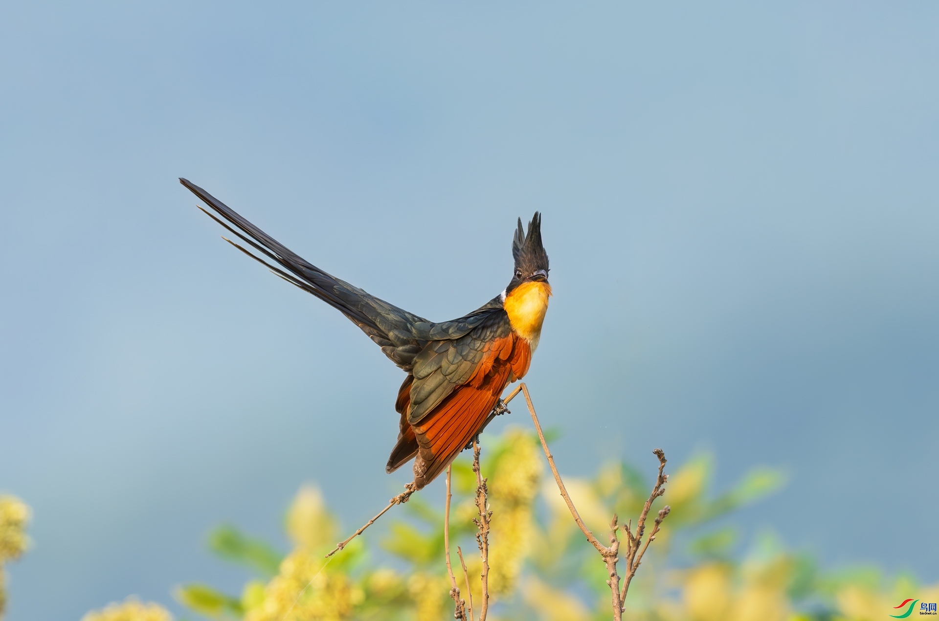 9.8���ʿ���ʦ��Ʒ   ����ͷ��   �ٻ�2023��9��8����ҳ����..jpg