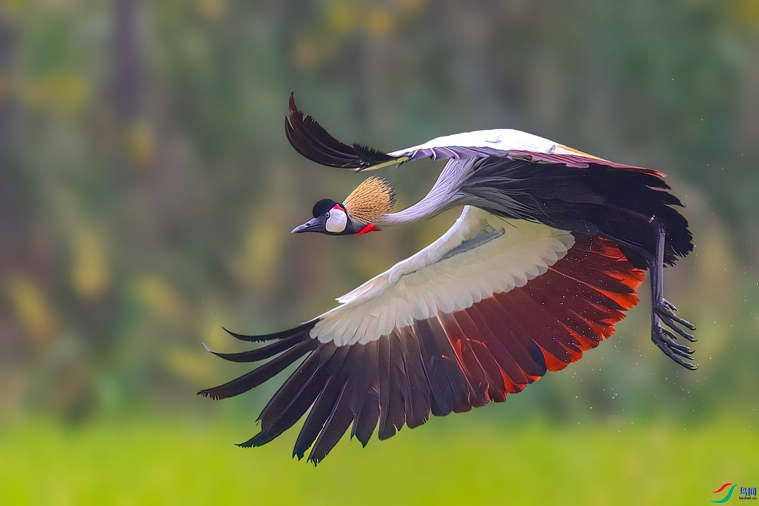 9.11������ʦ��Ʒ   ����   �ٻ�2023��9��11����ҳ����..jpg