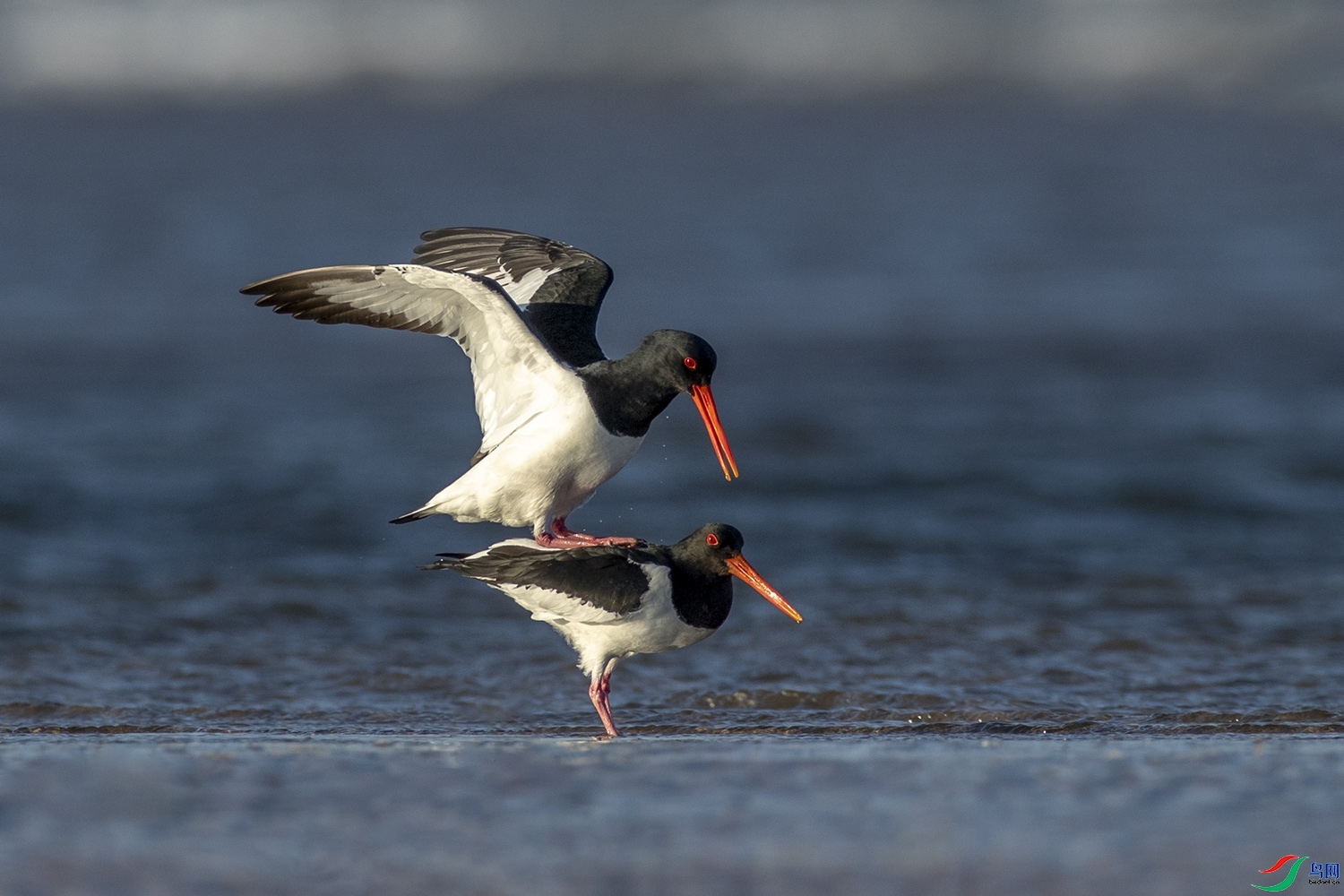 9.12ꖹ���ʦ��Ʒ   ����֮��   �ٻ�2023��9��12����ҳ����...jpg