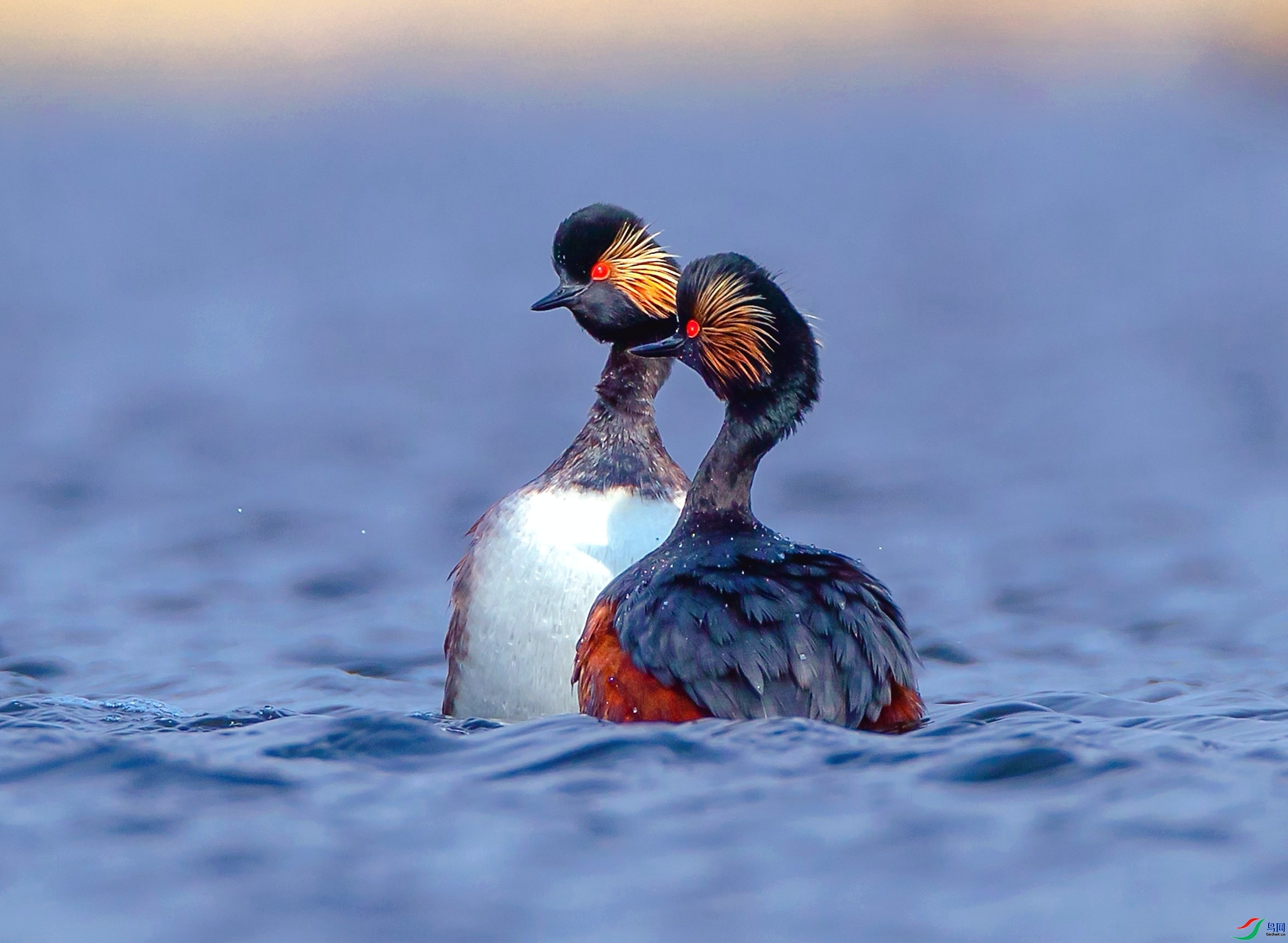 9.12һ·�����ʦ��Ʒ   �ھ�   �ٻ�2023��9��12����ҳ����...jpg