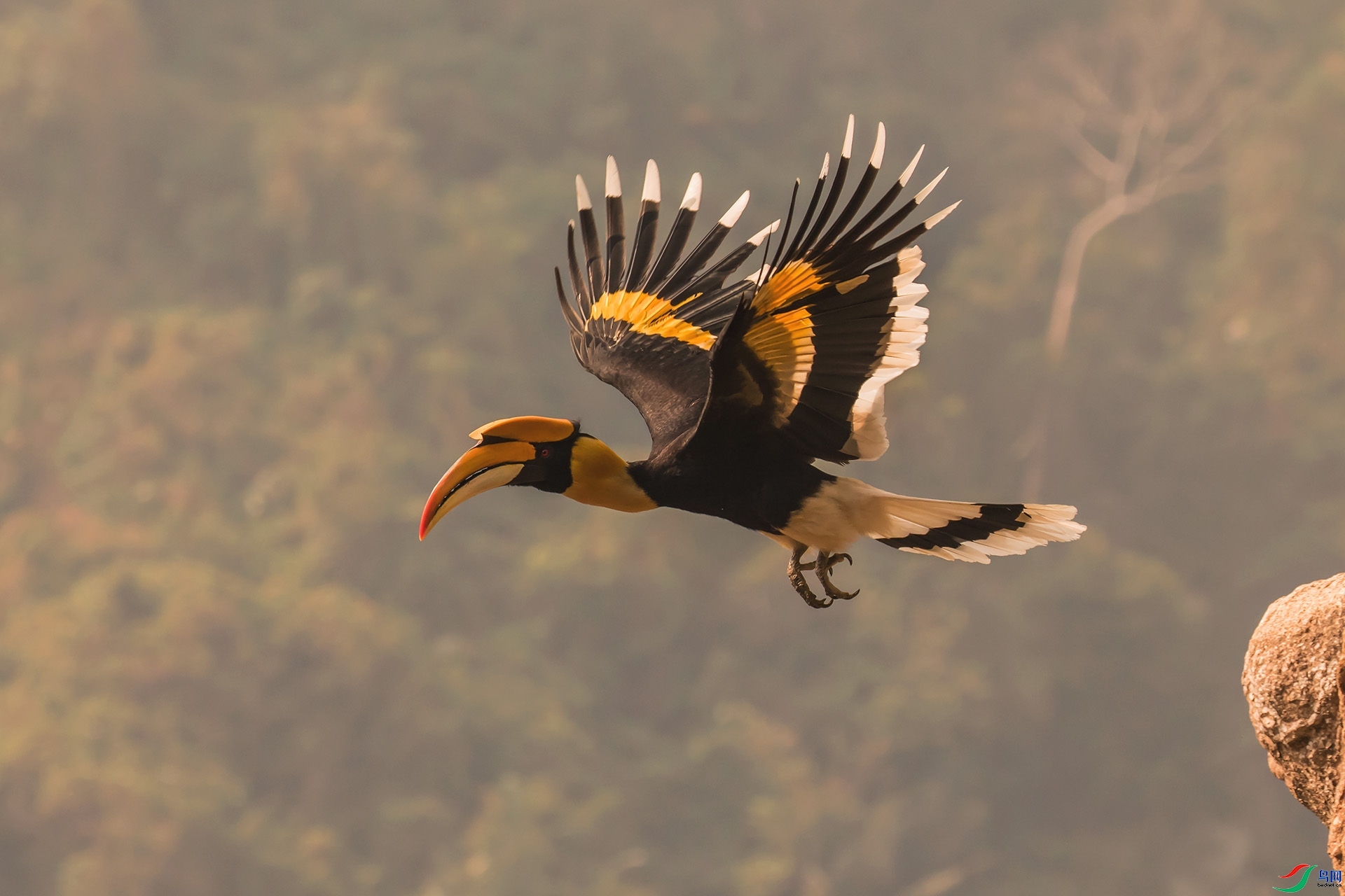 9.14ɽɽɽ��ʦ��Ʒ   æµ�ļ���   �ٻ�2023��9��14����ҳ����.jpg