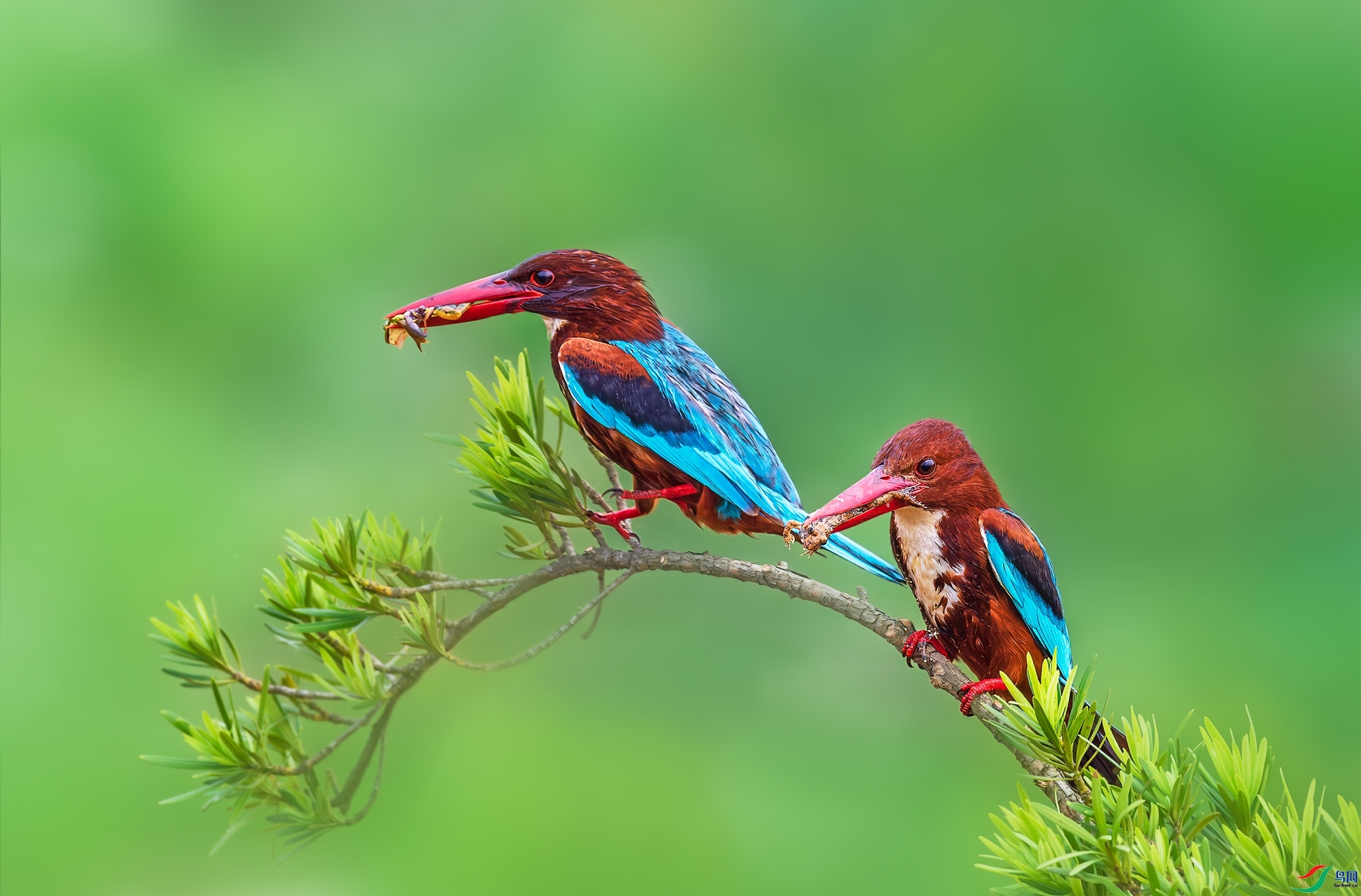 9.14������ͯ��ʦ��Ʒ   �� �� �� ĸ   �ٻ�2023��9��14����ҳ����.jpg