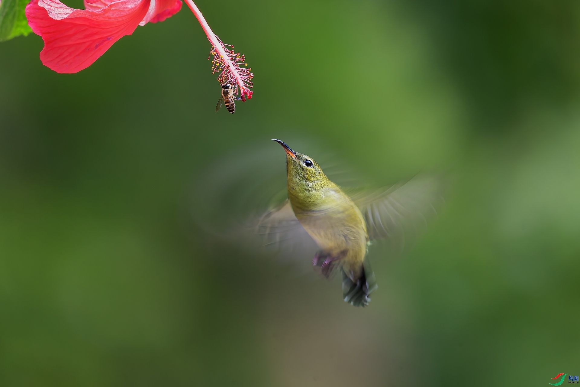 9.14Դ����Ȼ��ʦ��Ʒ  �������ԡ�   �ٻ�2023��9��14����ҳ����.jpg