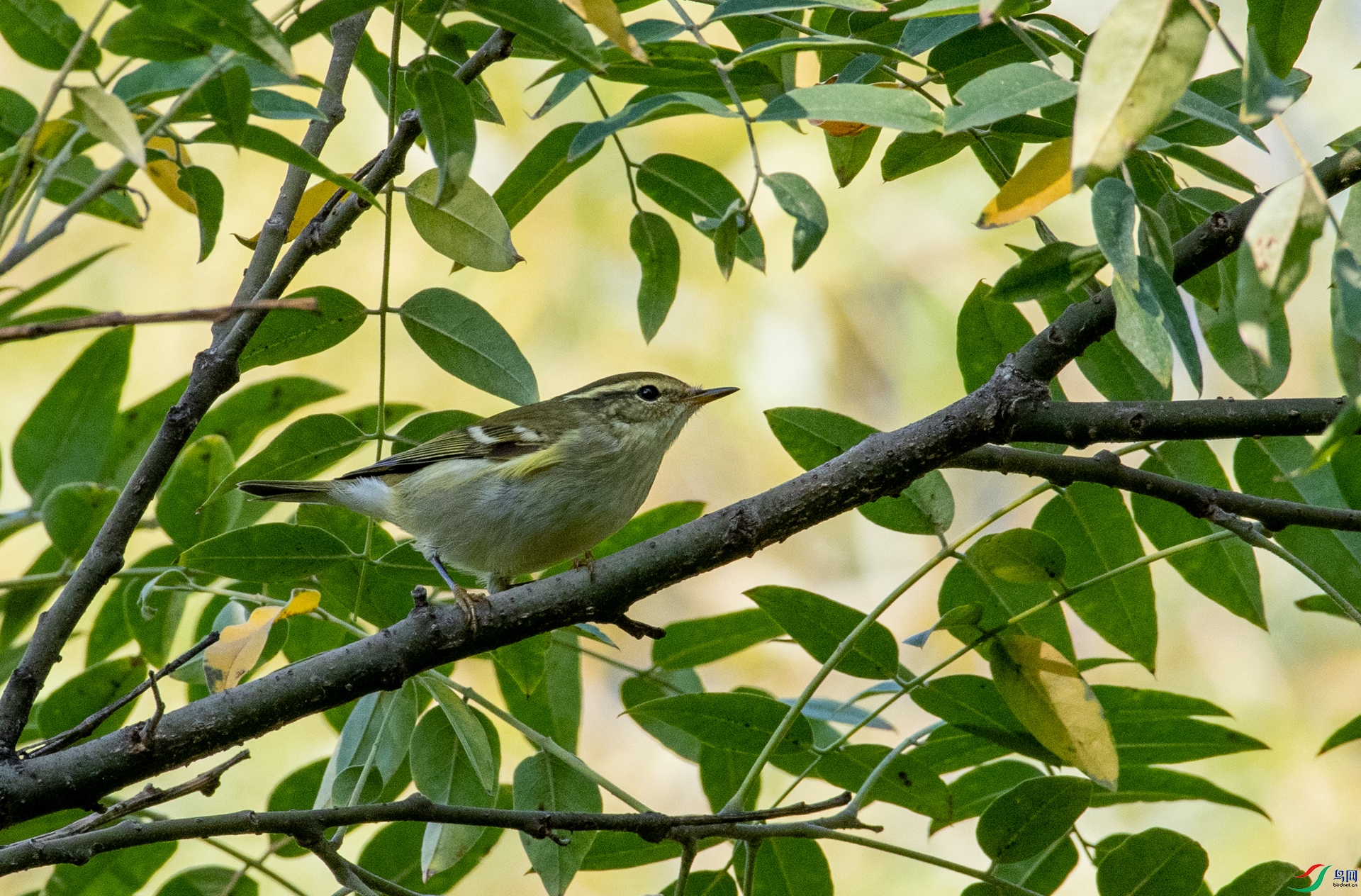 DSC_1374.jpg
