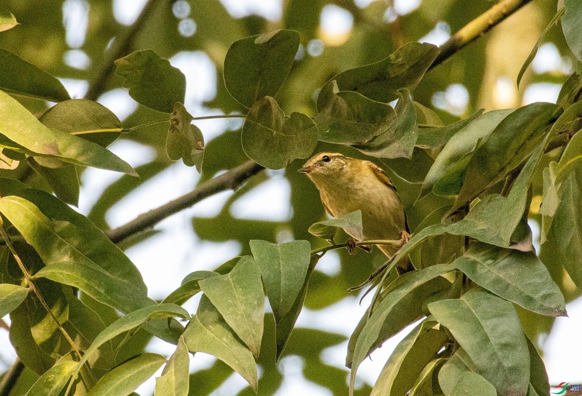 DSC_1397.jpg