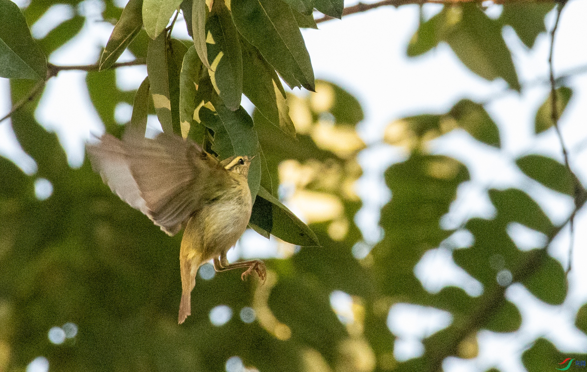 DSC_1421.jpg