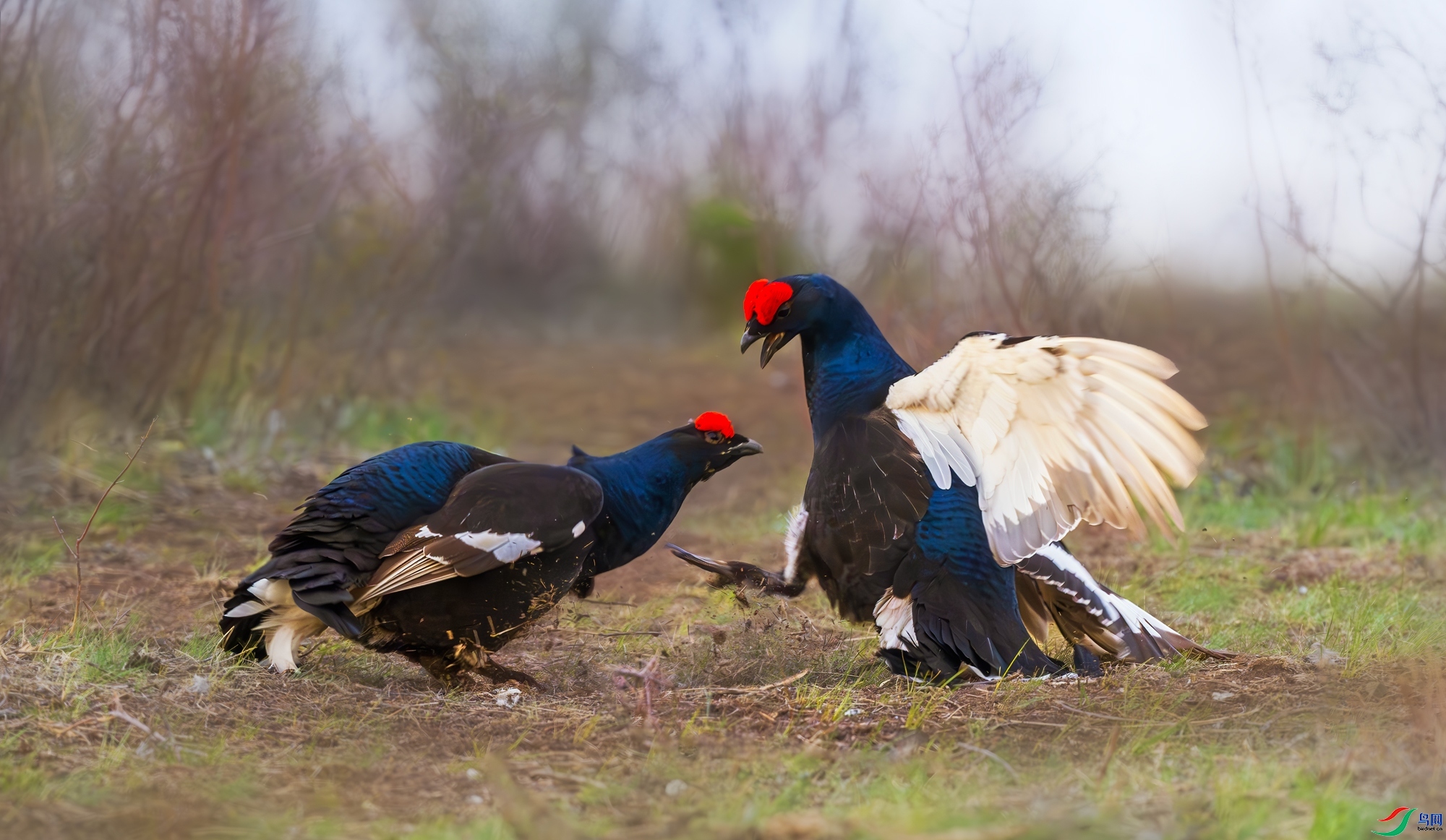 9.15����������ʦ��Ʒ    һ������   �ٻ�2023��9��15����ҳ����.jpg