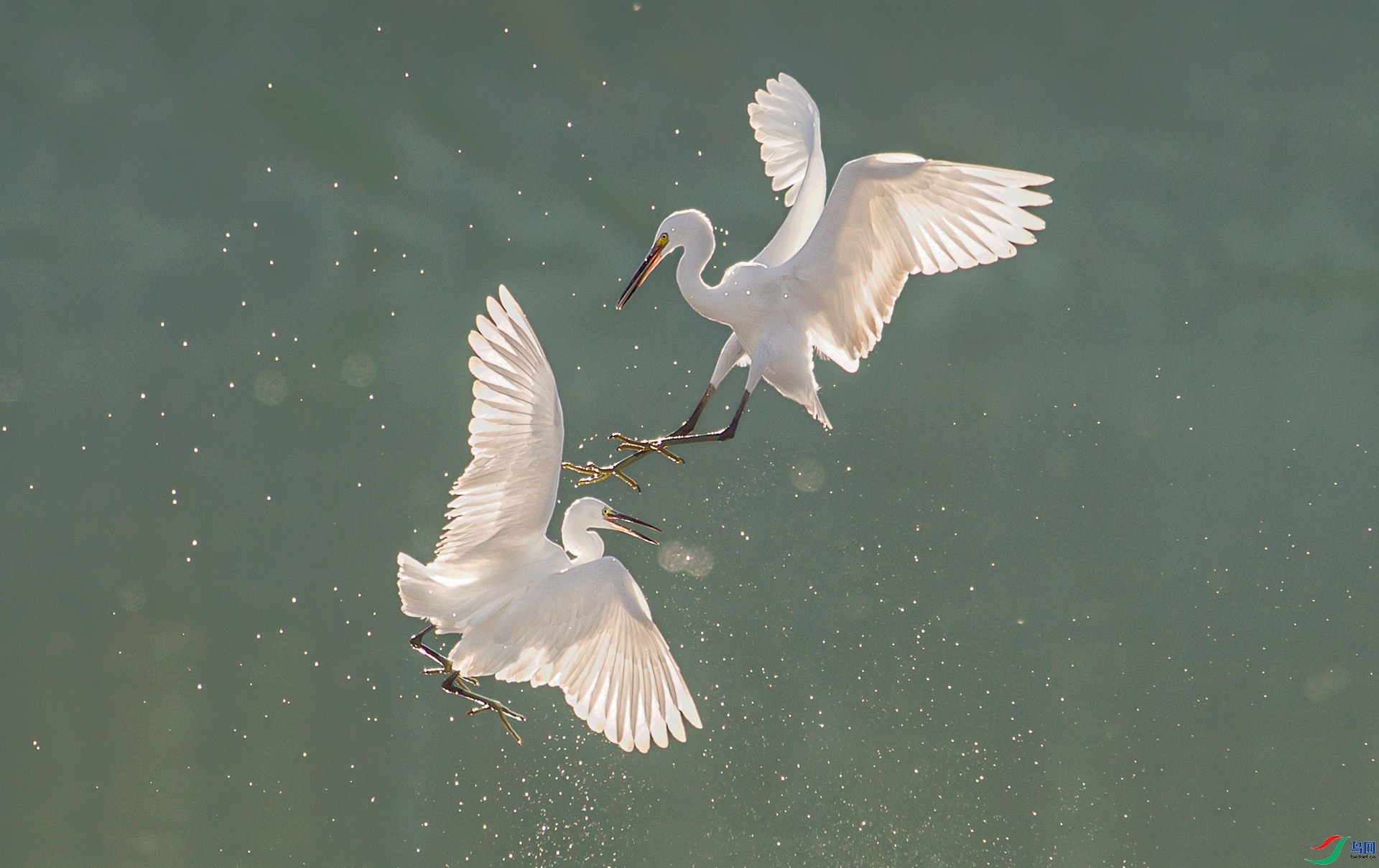 9.15������ʦ��Ʒ   ��ͷһ��   �ٻ�2023��9��15����ҳ����.jpg