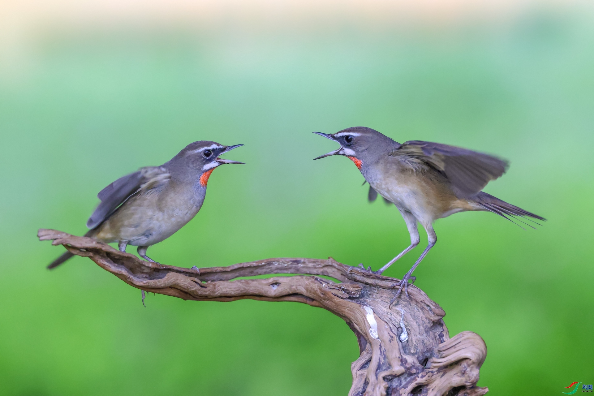 9.15һö�Ϻ���ʦ��Ʒ   ��������   �ٻ�2023��9��15����ҳ����.jpg