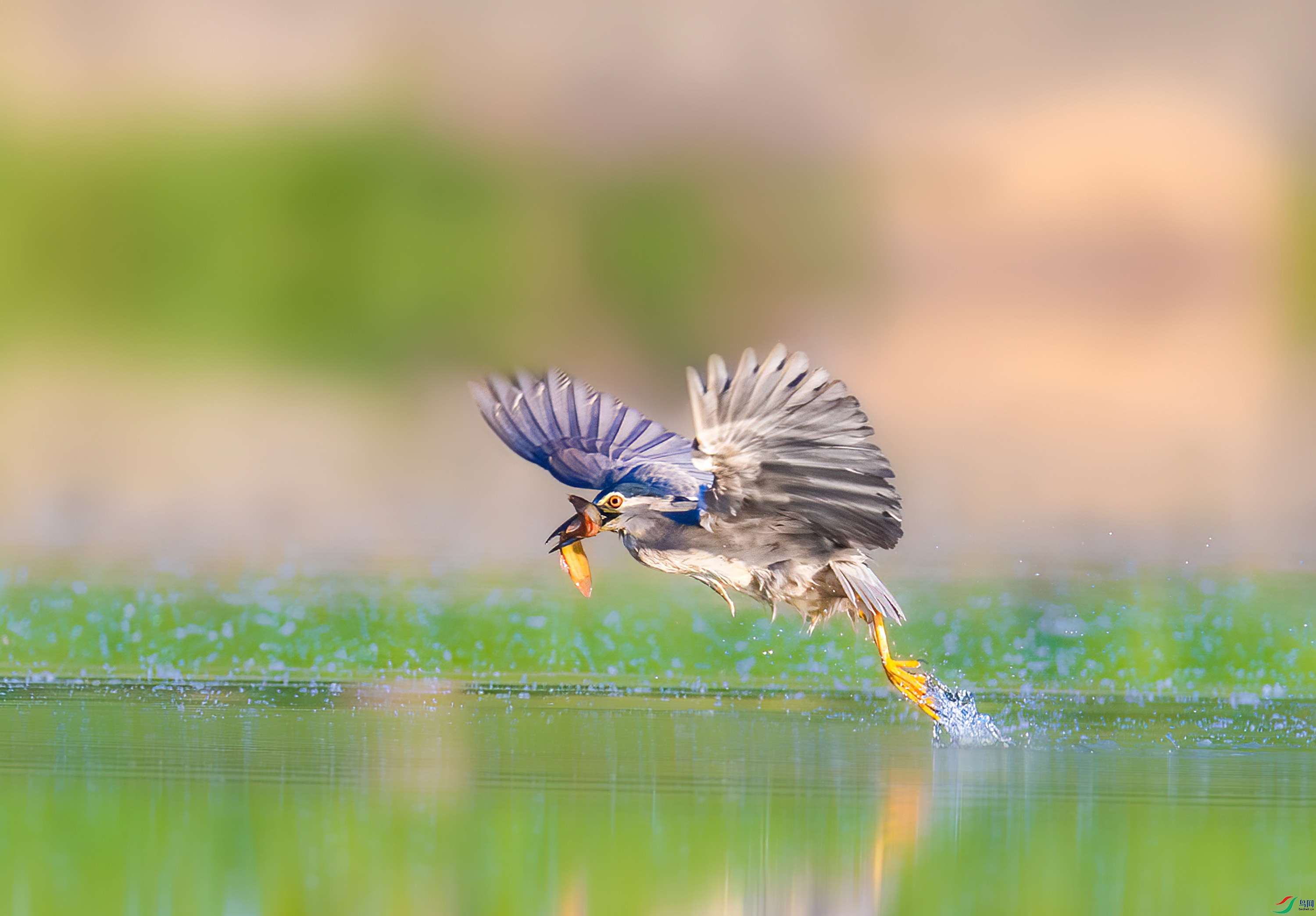 _JLN1770 ���� 2OK.jpg