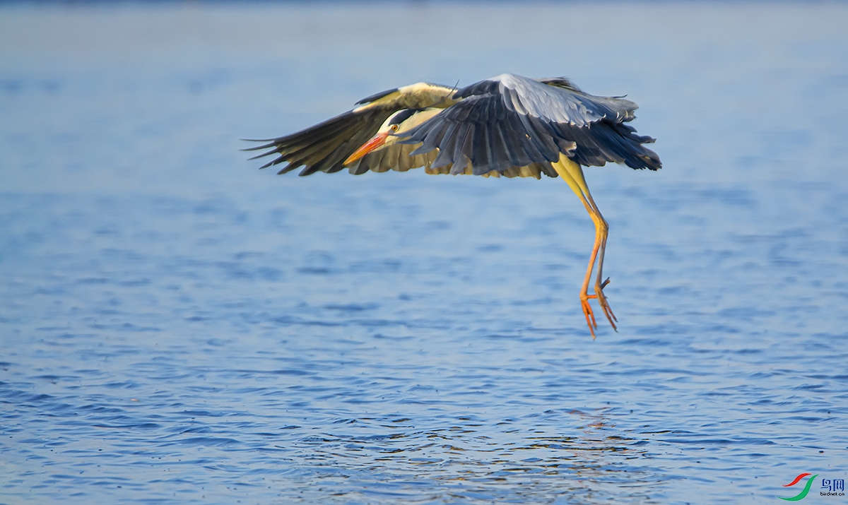 DSC_6618.jpg
