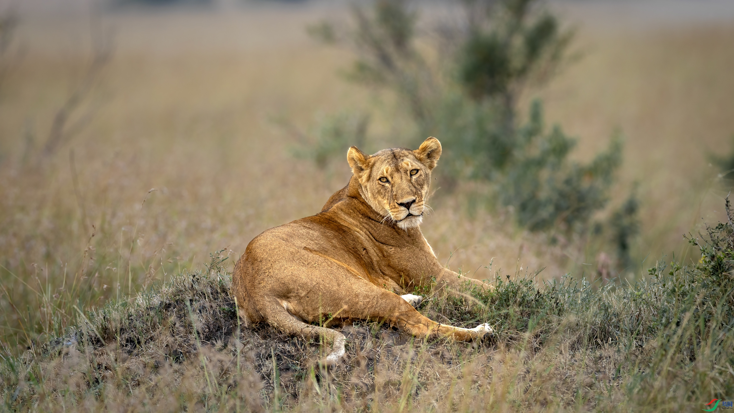 ������ʨ012A6093.jpg