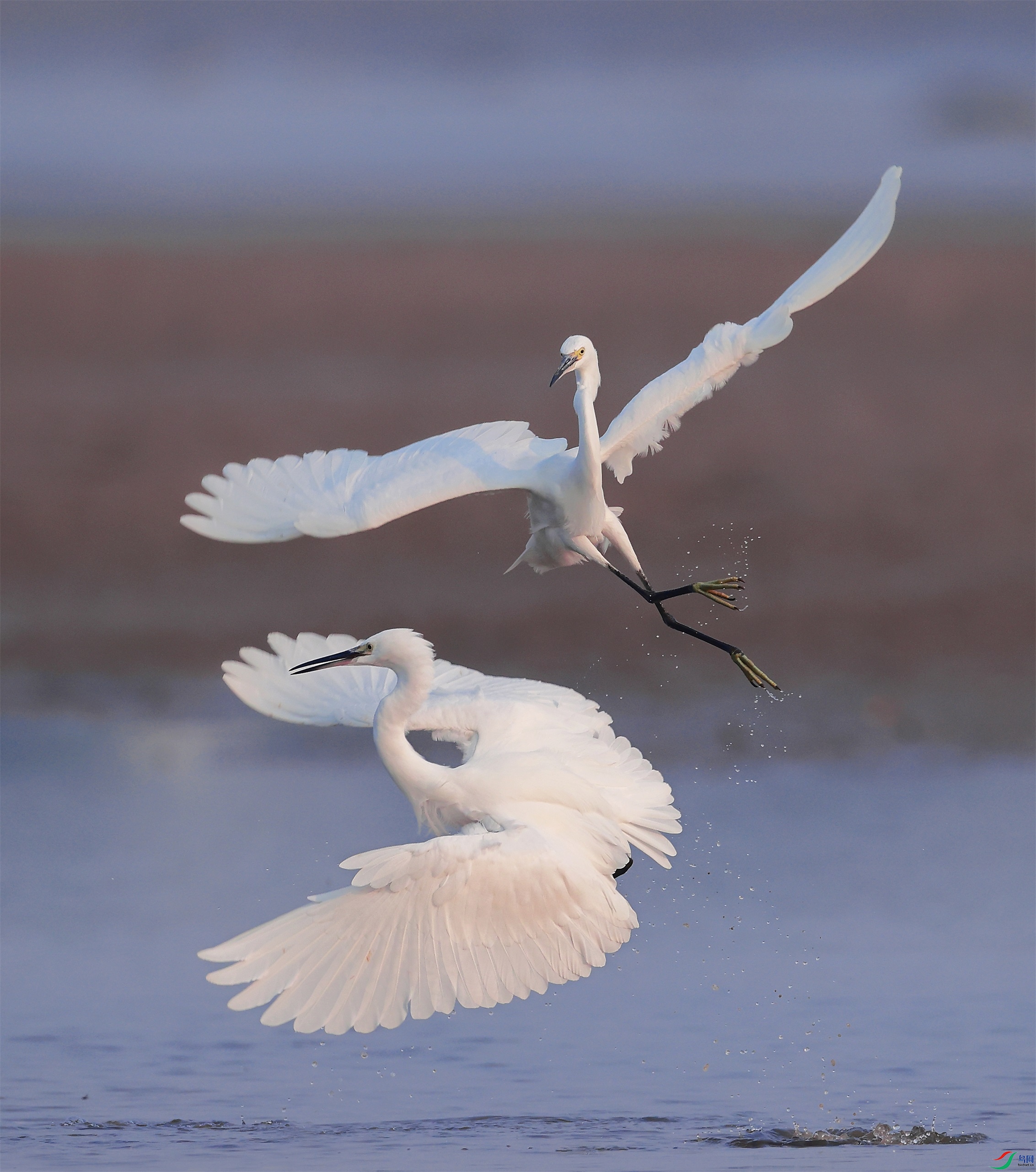 3 - ����.JPG