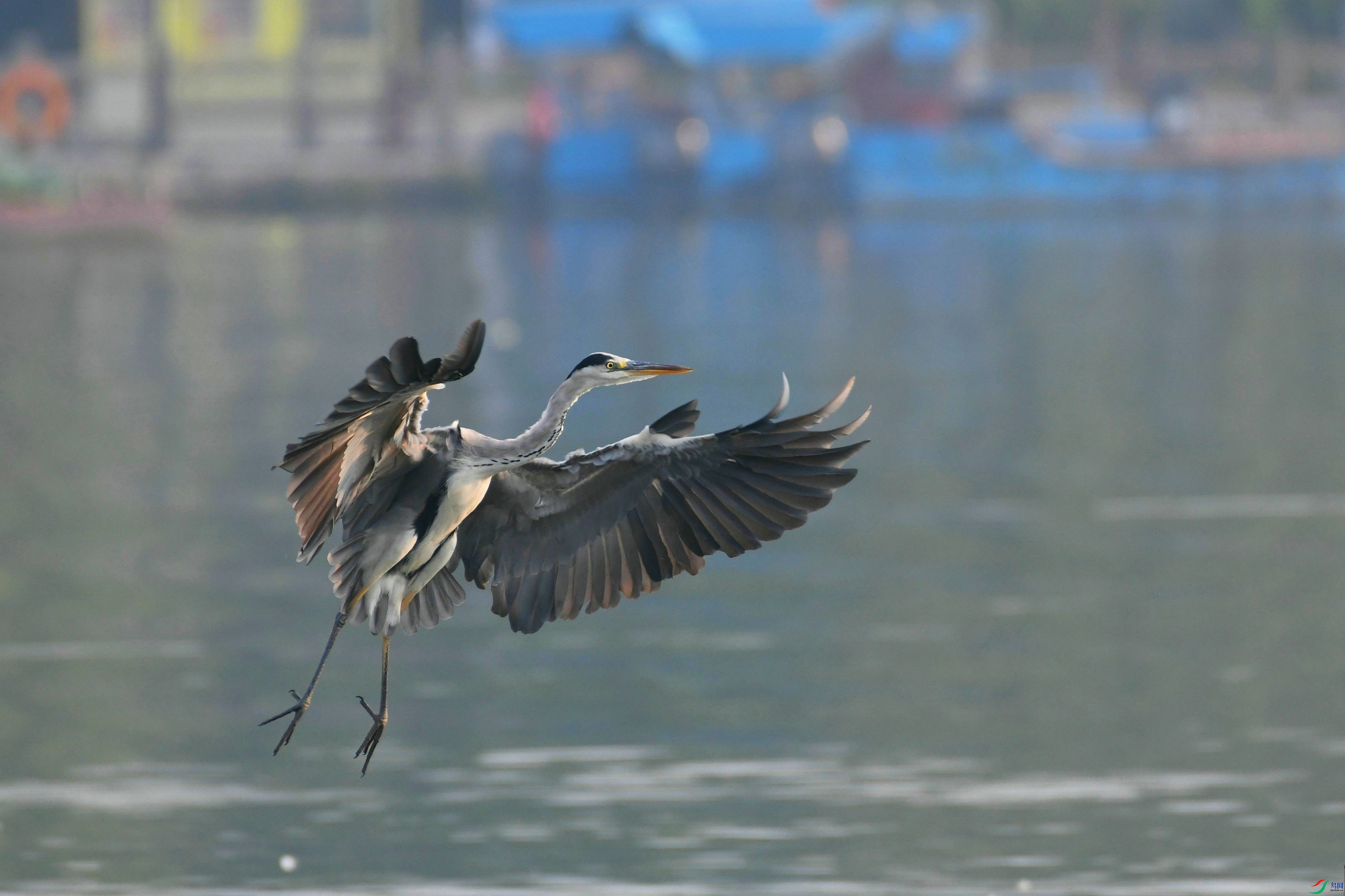 DSC_7888.JPG