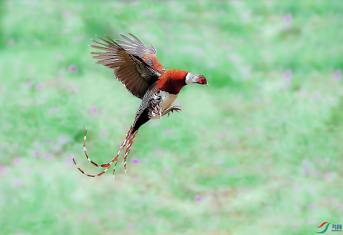 �׾���β�� ����.jpg