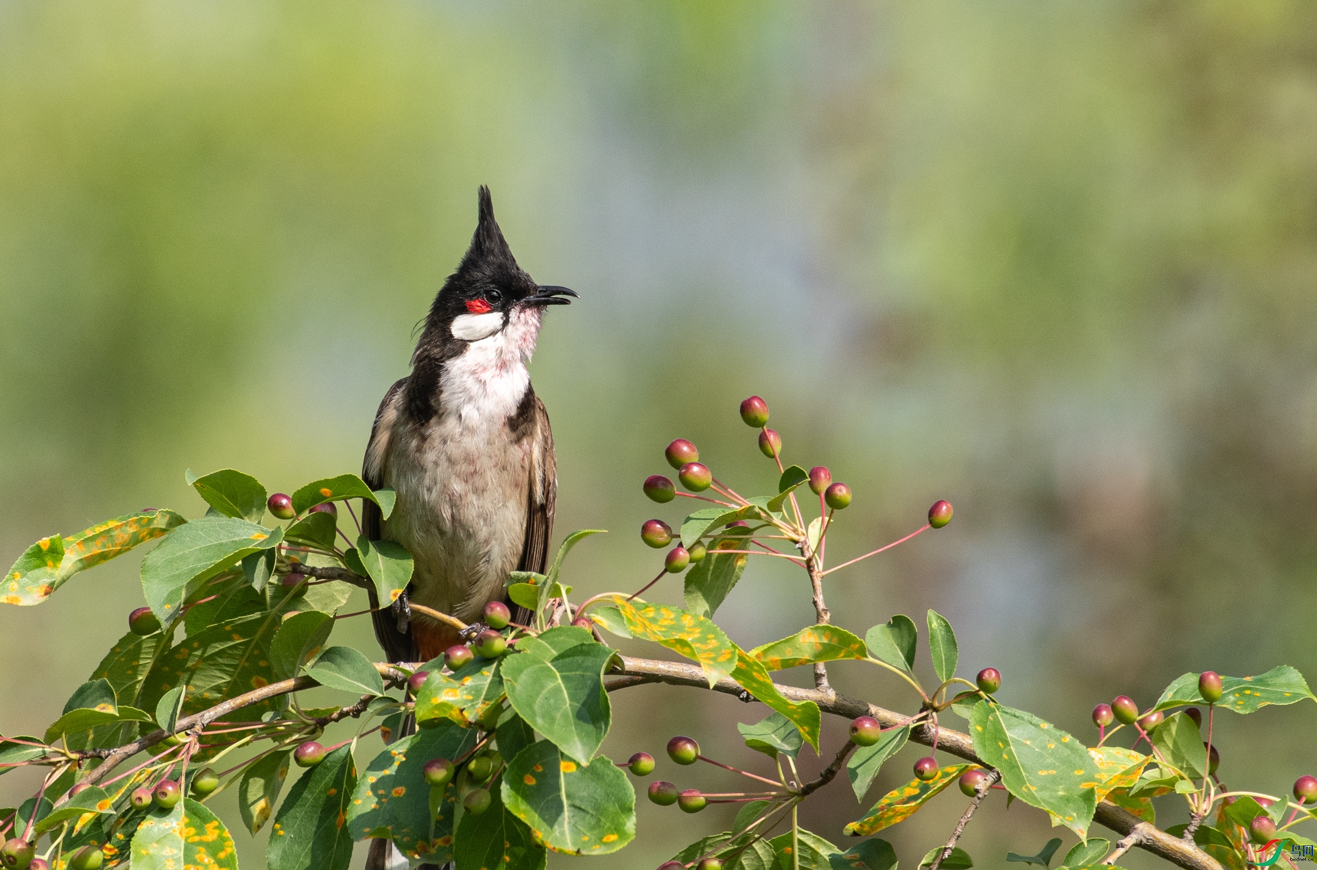 DSC_5656.jpg