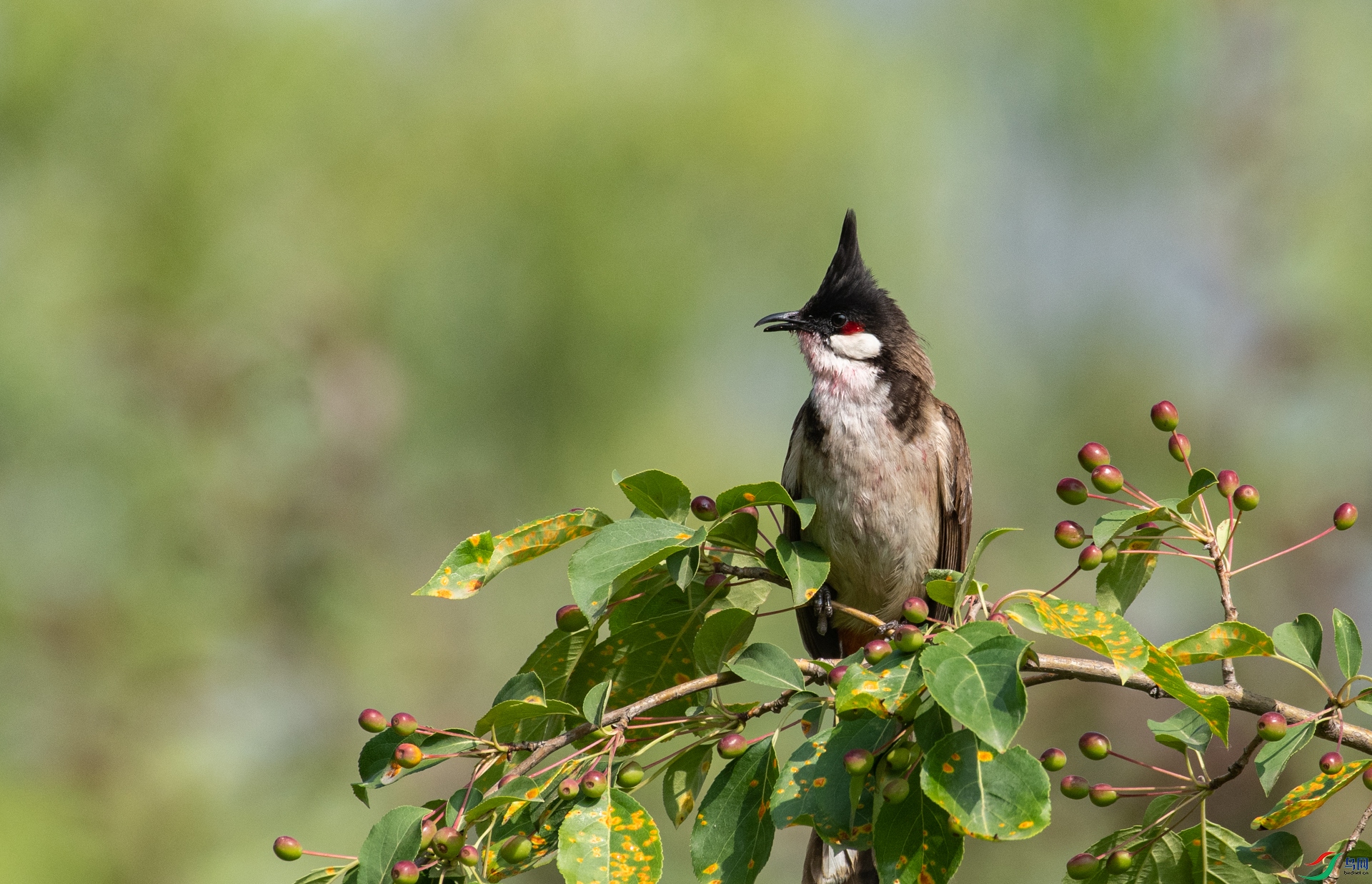 DSC_5661.jpg