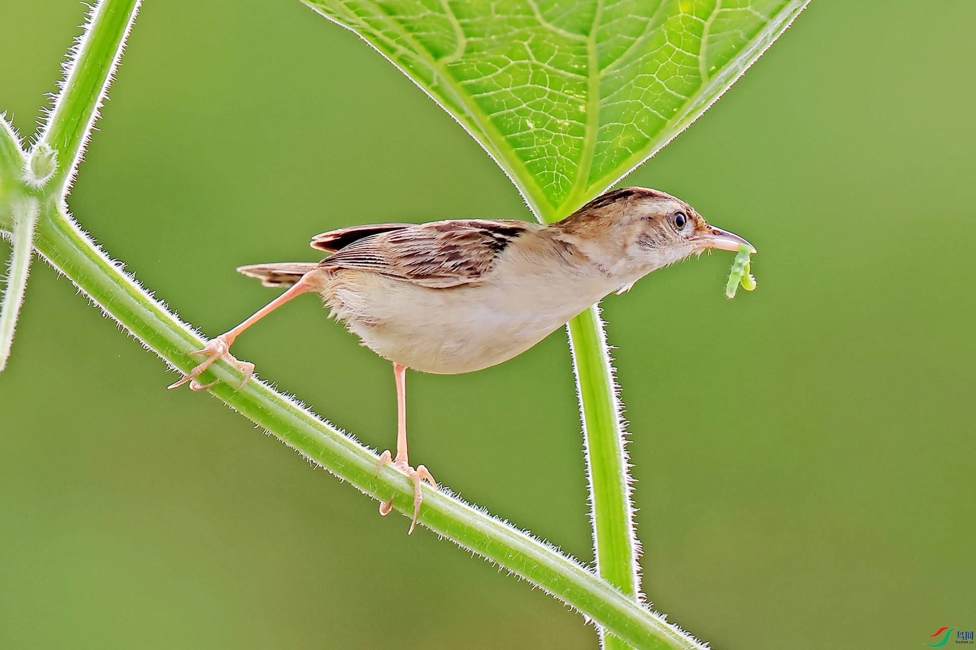 ����βݺ232-1.jpg