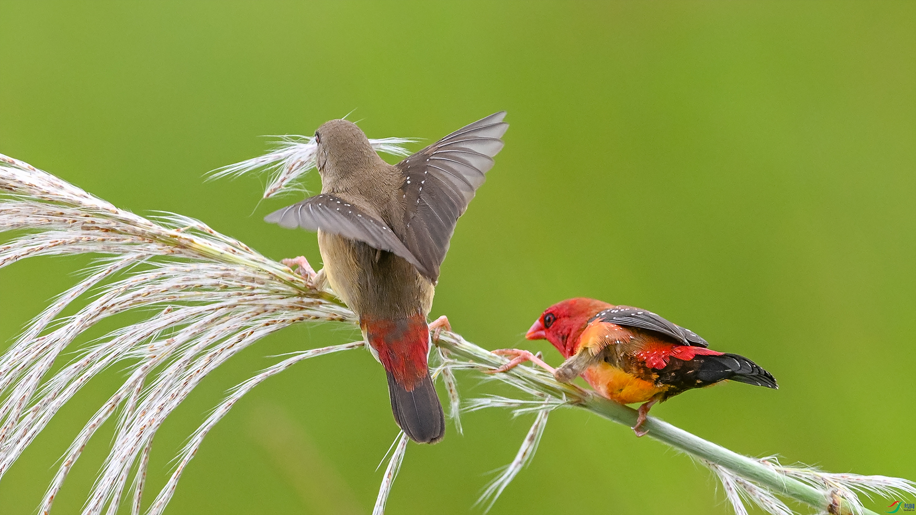 0487 ����-1.jpg