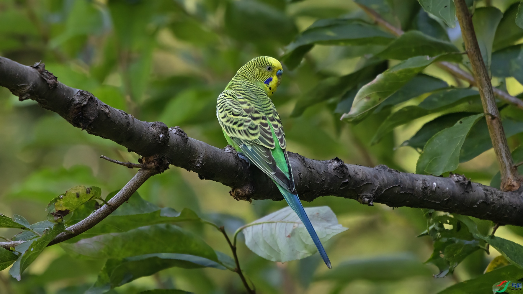 3U2A3830 ���� 2.jpg