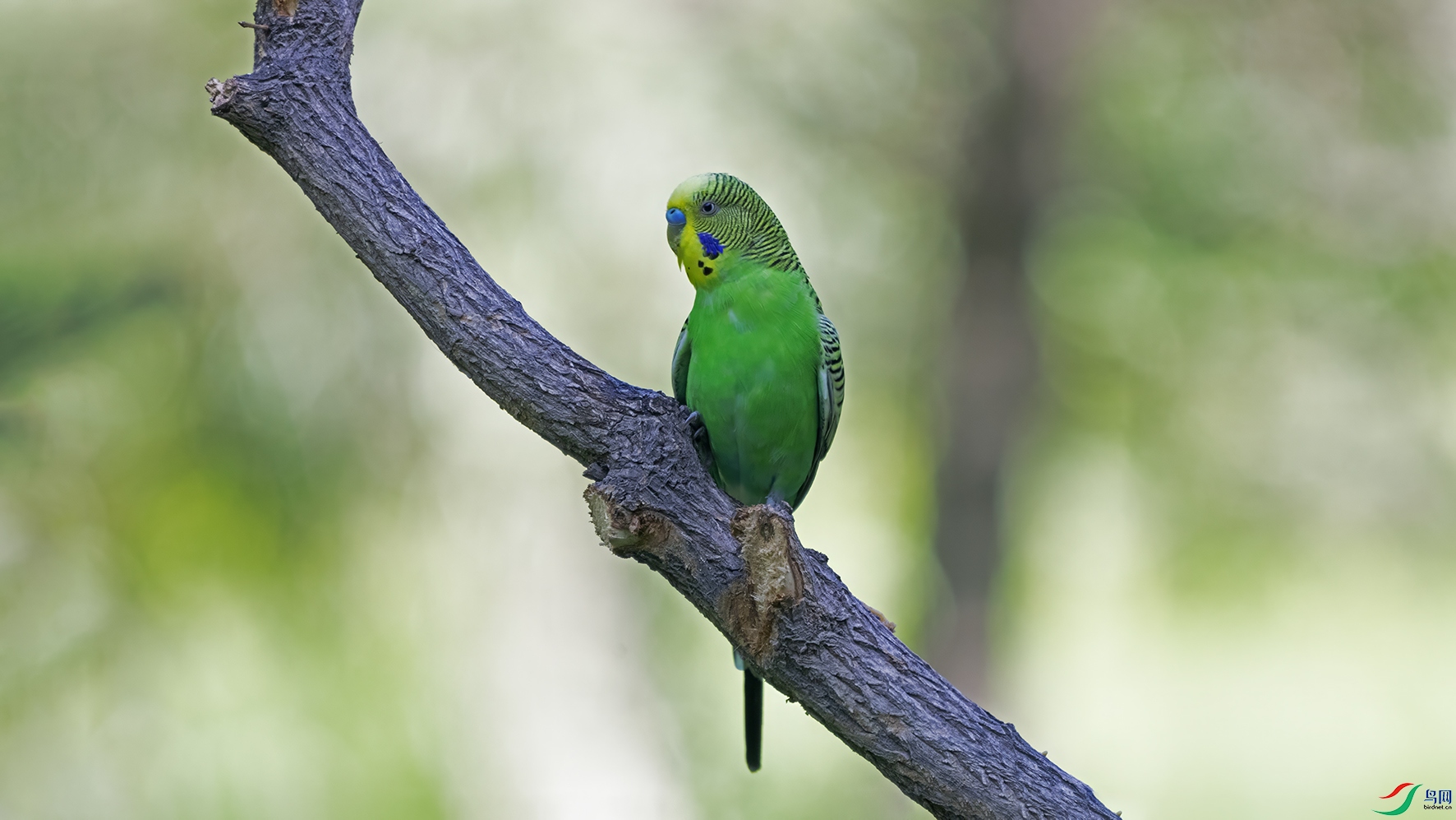 3U2A3412 ���� 2.jpg