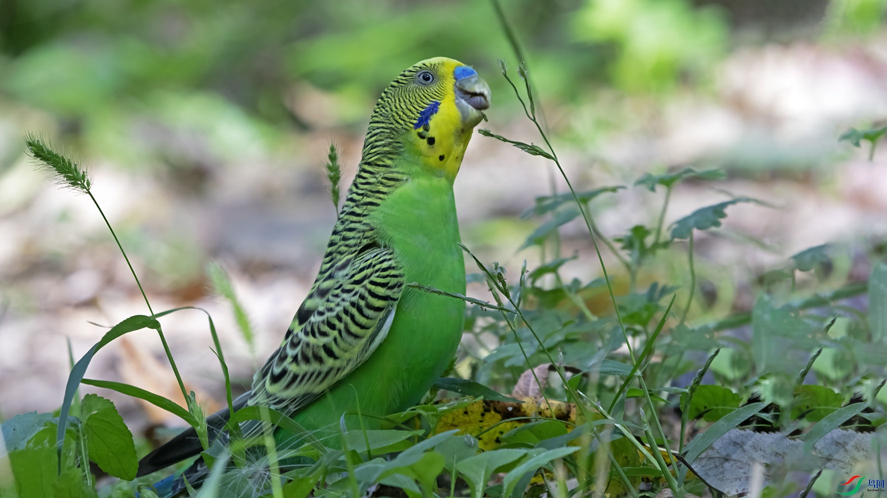 3U2A3806 ���� 2.jpg