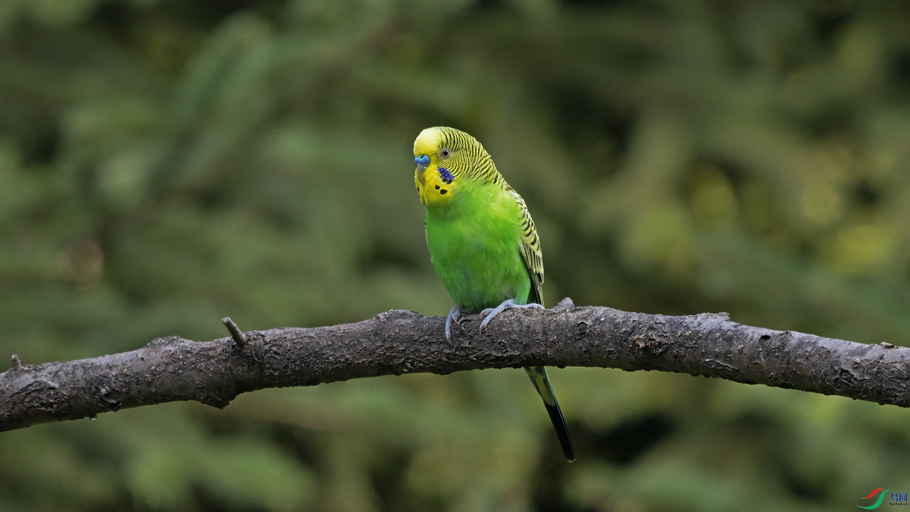 3U2A8271 ���� 2.jpg