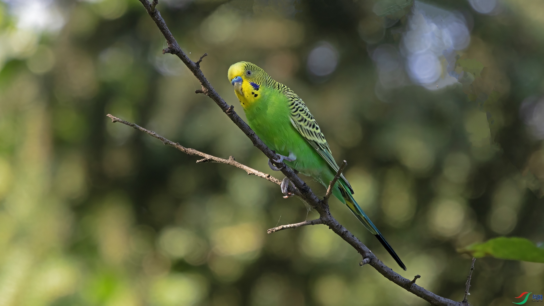 3U2A8218 ���� 2.jpg