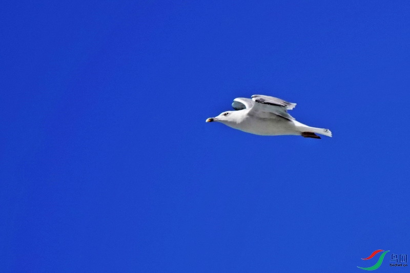 �ƽ���Ÿ6 (4).JPG