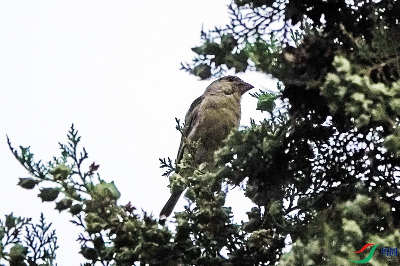 ŷ���ȸ5 (1).JPG