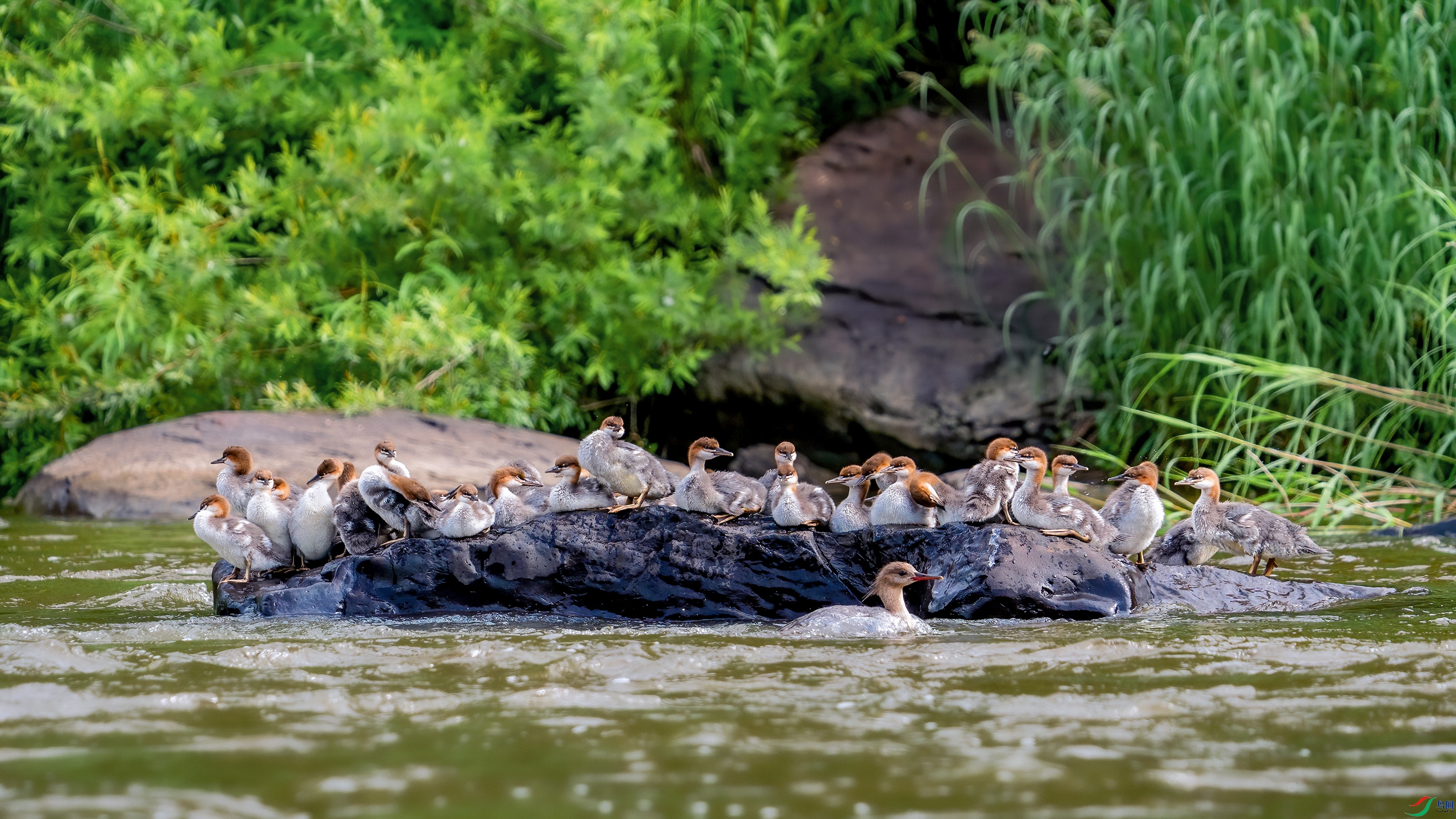 7���л���ɳѼ  ���л���ɳѼ �����ص�һ����������  �����ڳ���ɽ��  ��Ӱ�����ɽ (2).jpg