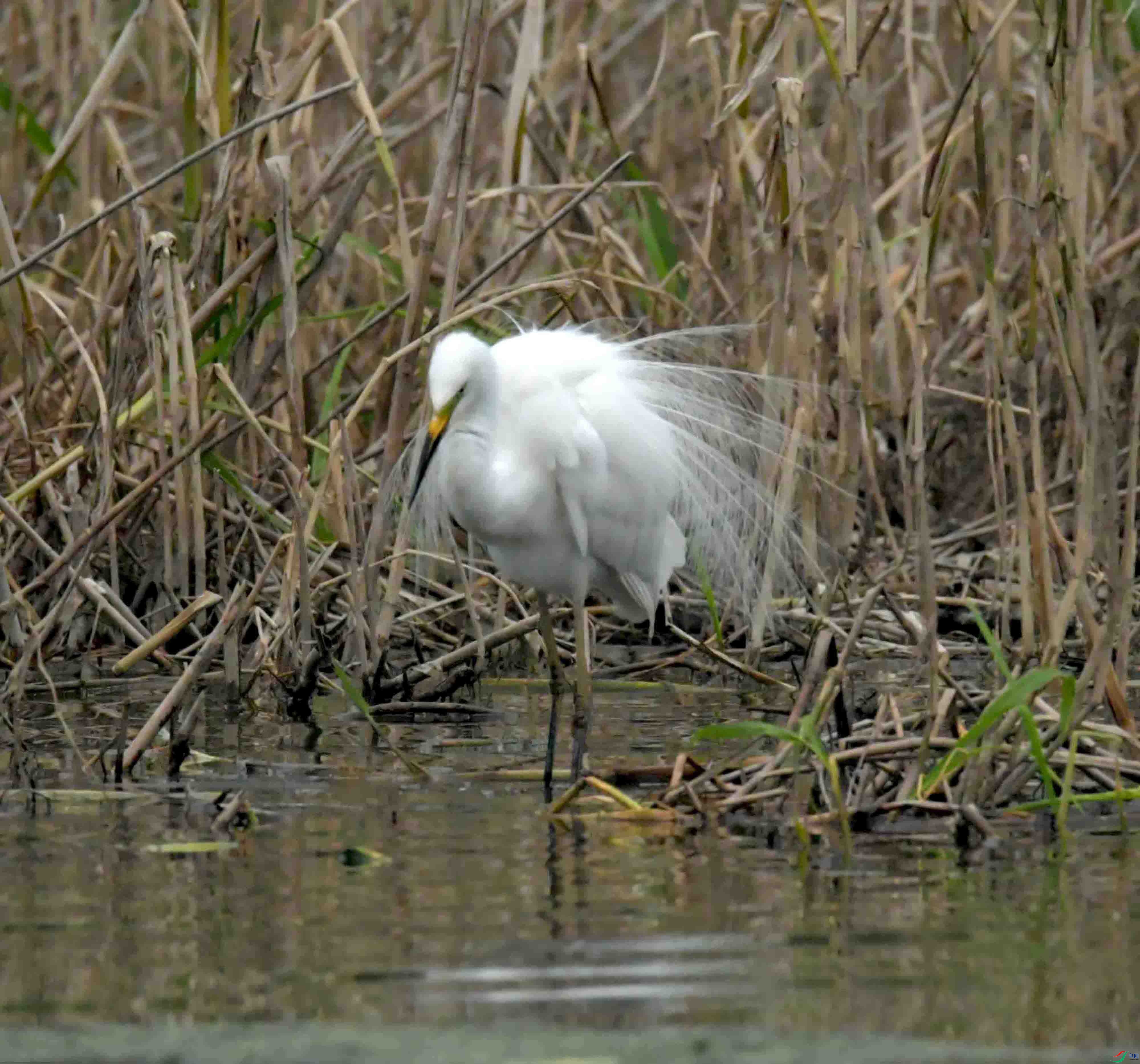 DSC_9003.JPG