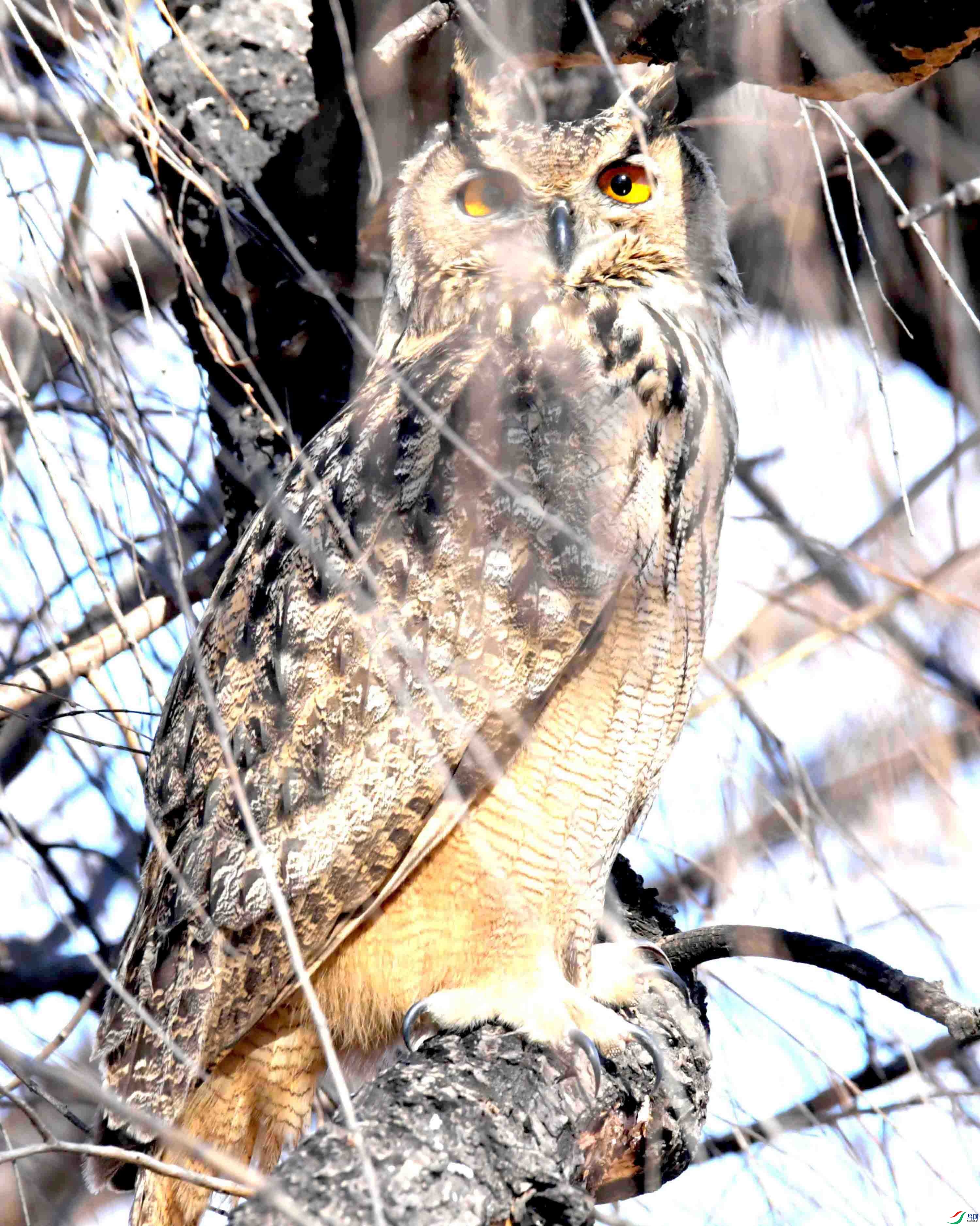 DSC_6182.JPG