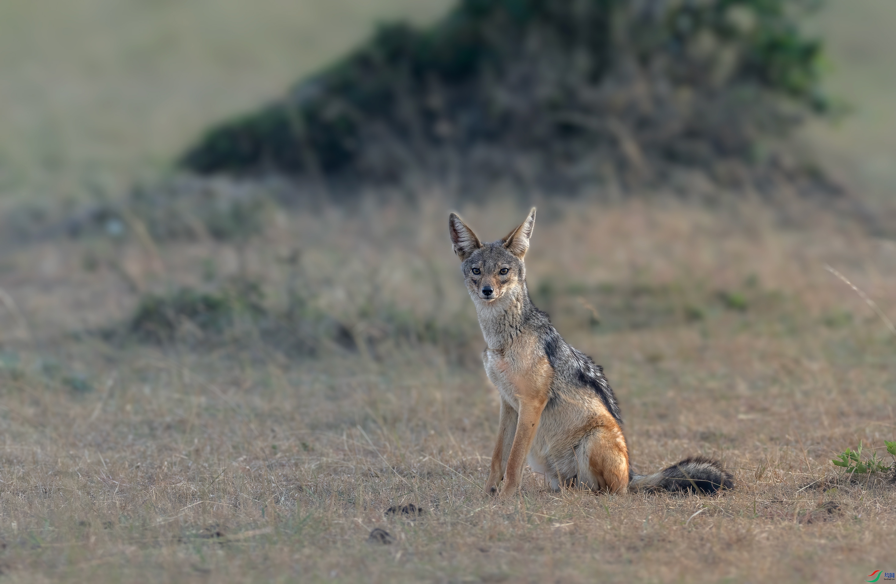 ���޺���012A5645.jpg