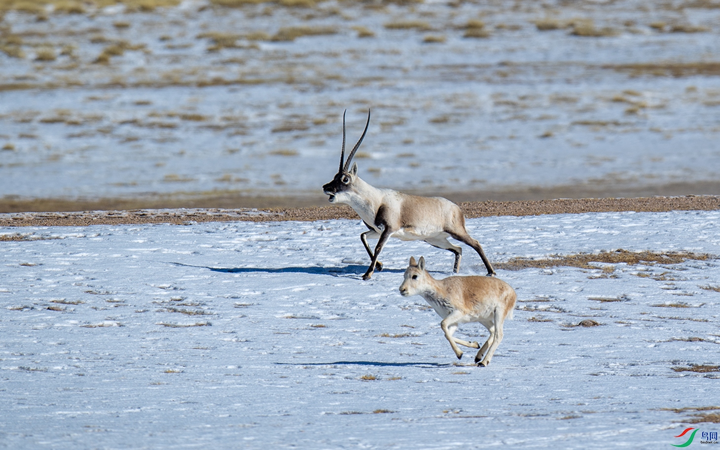 DSC_5074.jpg
