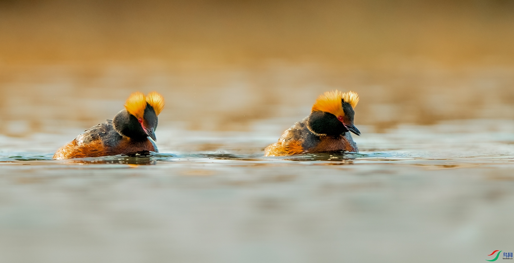 DSC_5605_1 (2)_2.jpg