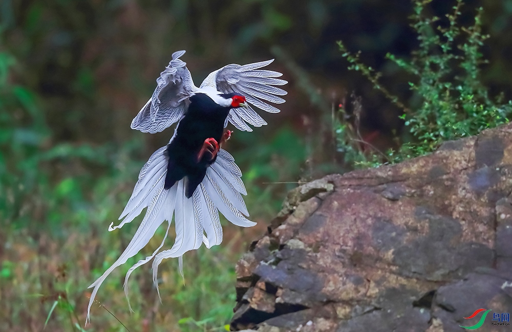 ���� (2).JPG