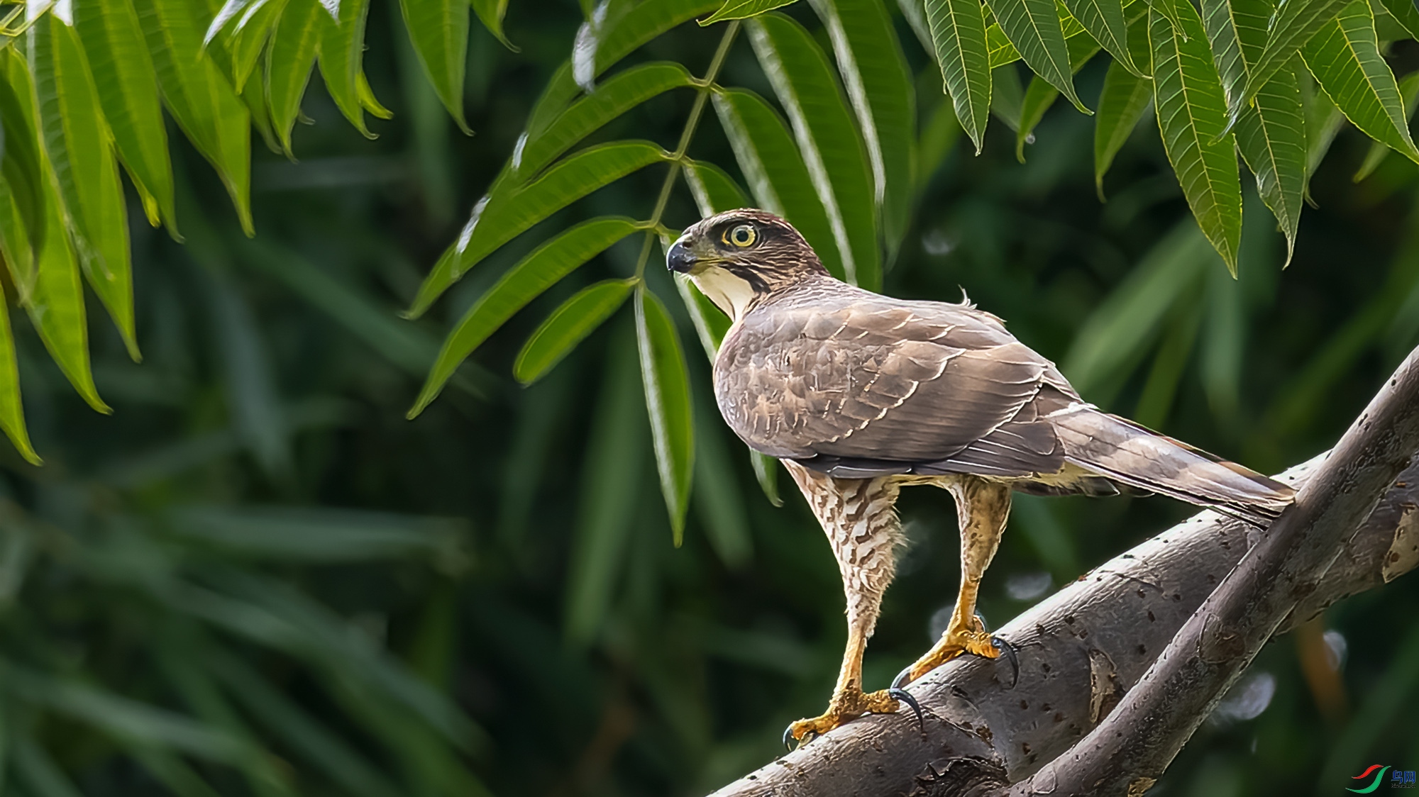 _8270226-ORF_DxO_DeepPRIME ����.jpg