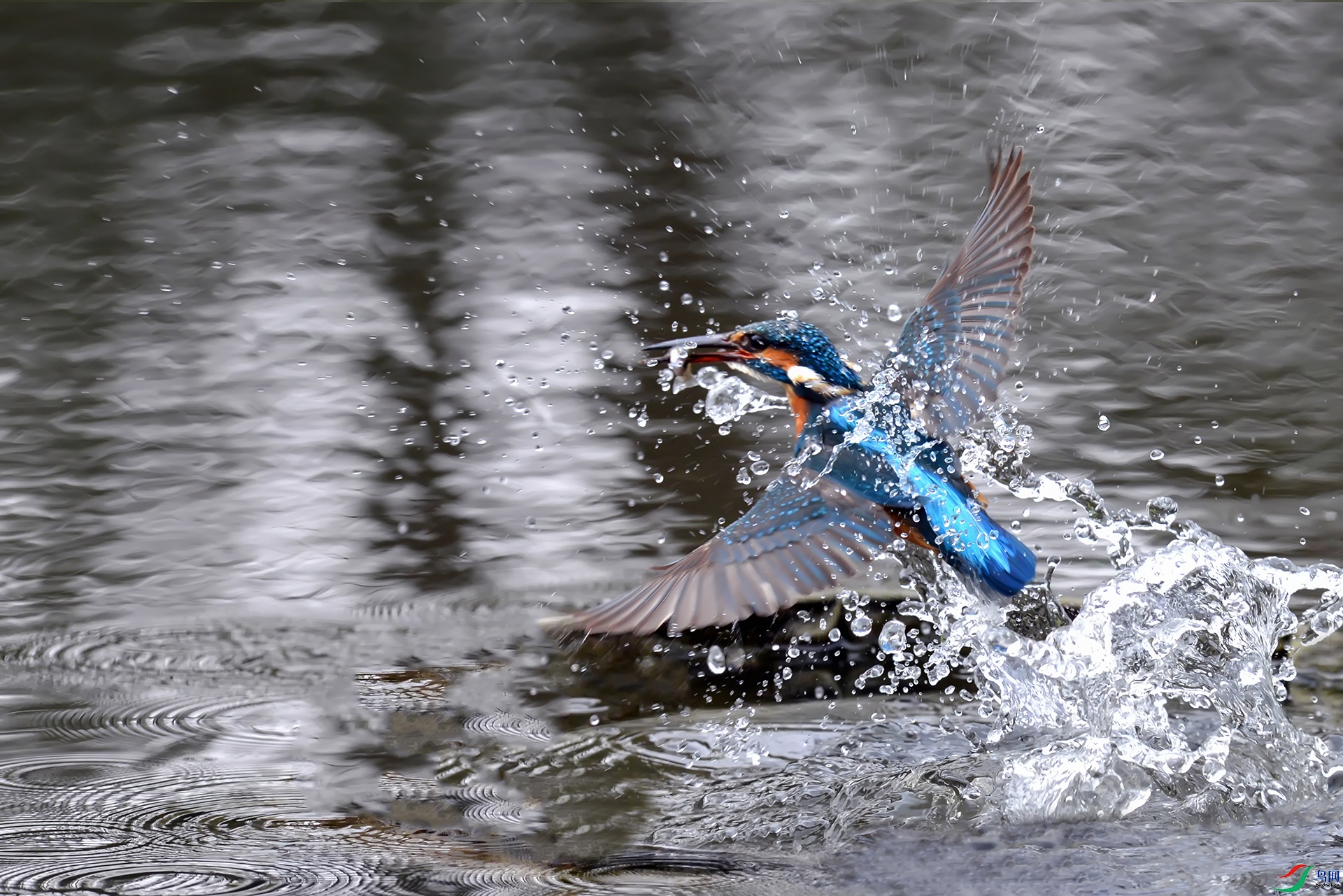 1DSC_8807_DxOa.jpg