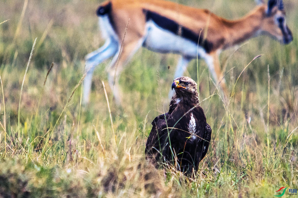 DSC_7731.jpg