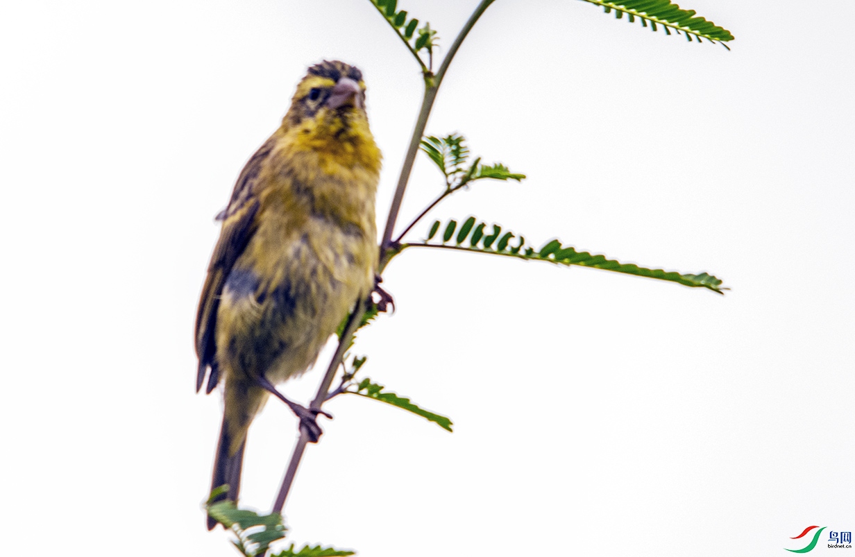 DSC_8620.jpg